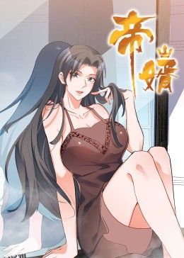 帝婿 海报