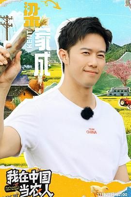 我在中国当农人 高清海报