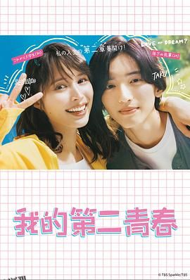 我的第二青春 海报