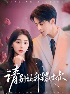 请别让我错过你 海报