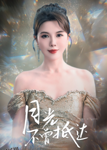 月光不曾抵达 海报