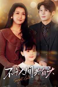 不许人间共白头 海报