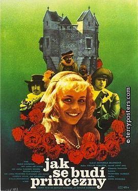 唤醒公主[电影解说] 高清海报