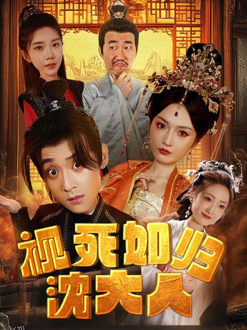 视死如归沈大人 海报