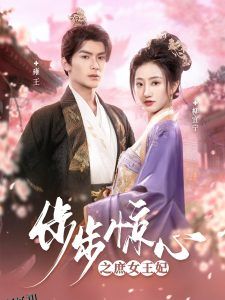 步步惊心之庶女王妃 海报