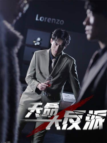 天命大反派 海报