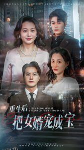 重生后把女婿宠成宝 海报