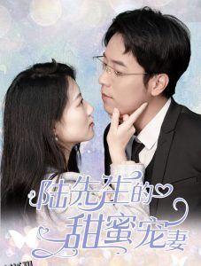 陆先生的甜蜜宠妻 海报