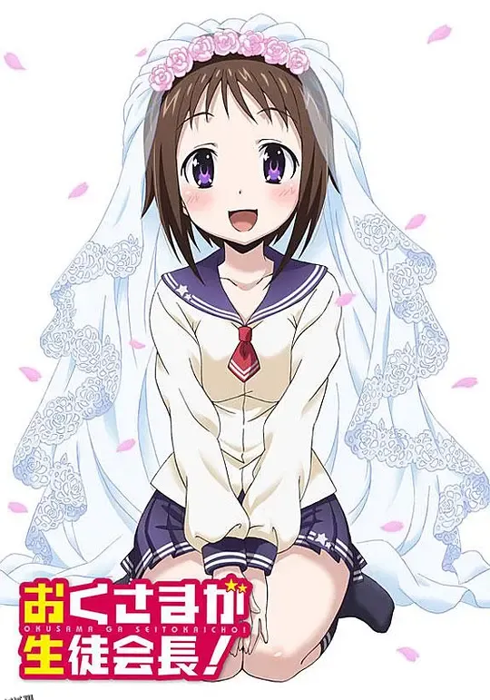 我老婆是学生会长第一季 海报