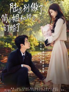 陆总别傲了，简小姐和顾总订婚了 海报