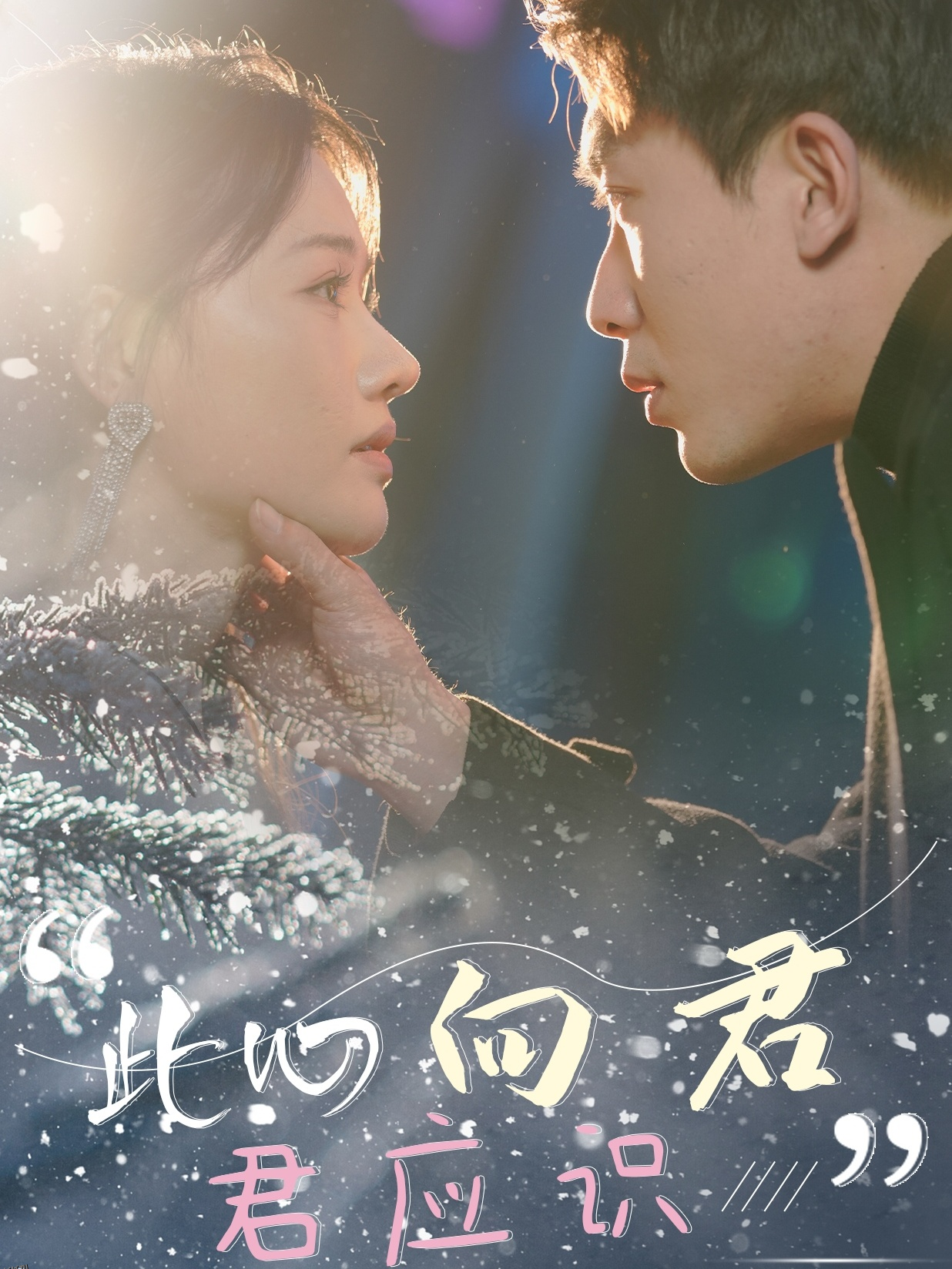 此心向君君应识 高清海报