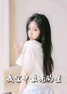 夜空中最亮的星 海报