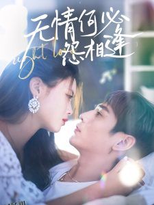 无情何必怨相逢 海报