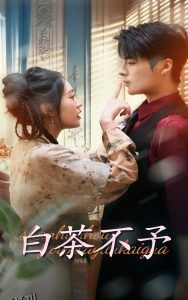 白茶不予 高清海报
