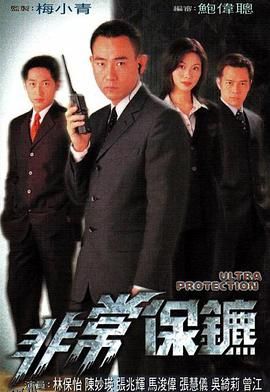 非常保镖国语1999 海报
