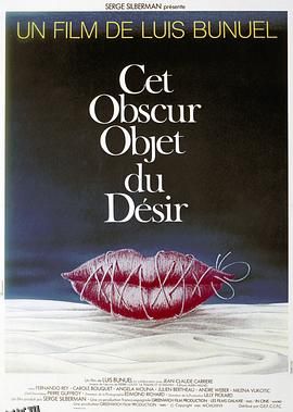 朦胧的欲望 海报