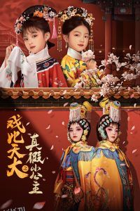 戏比天大之真假小公主 高清海报