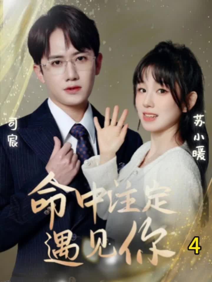 命中注定遇见你短剧 海报