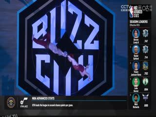 NBA常规赛 独行侠VS黄蜂 20240410 海报