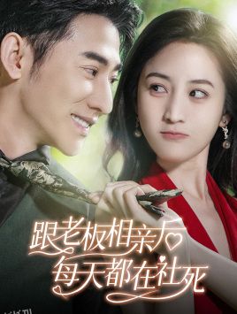 跟老板相亲后每天都在社死 海报