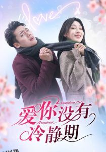 爱你没有冷静期 海报