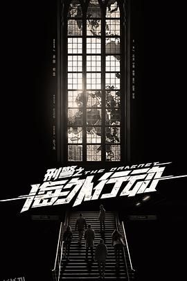 刑警之海外行动 海报