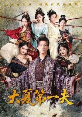 大夏第一夫 海报
