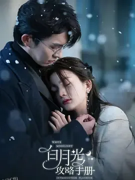 白月光攻略手册 海报