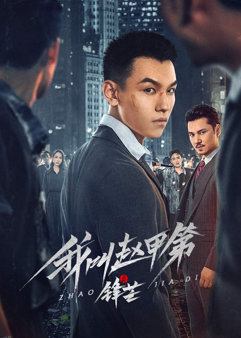 我叫赵甲第之锋芒 海报