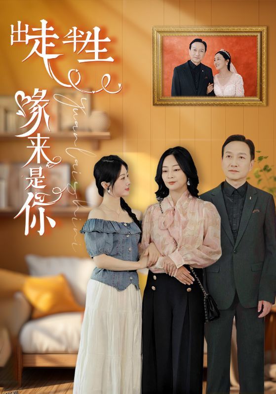 出走半生缘来是你 海报