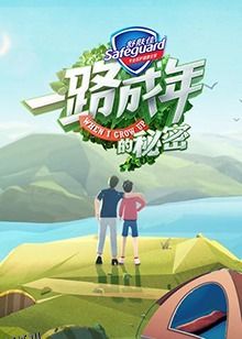 一路成年的秘密 海报