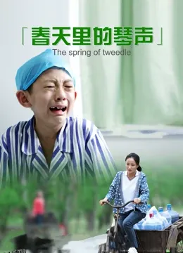 春天里的琴声 海报