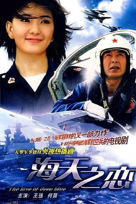 海天之恋 海报