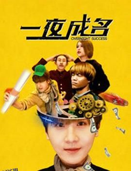 一夜成名 海报