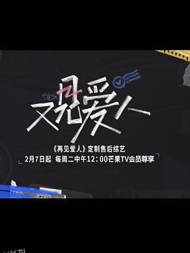又见爱人 海报