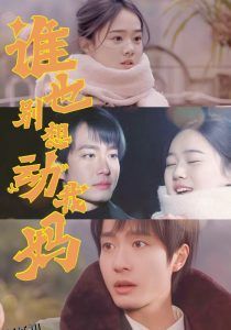 谁也别想动我妈 海报