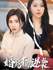 婚房下的逆袭 海报