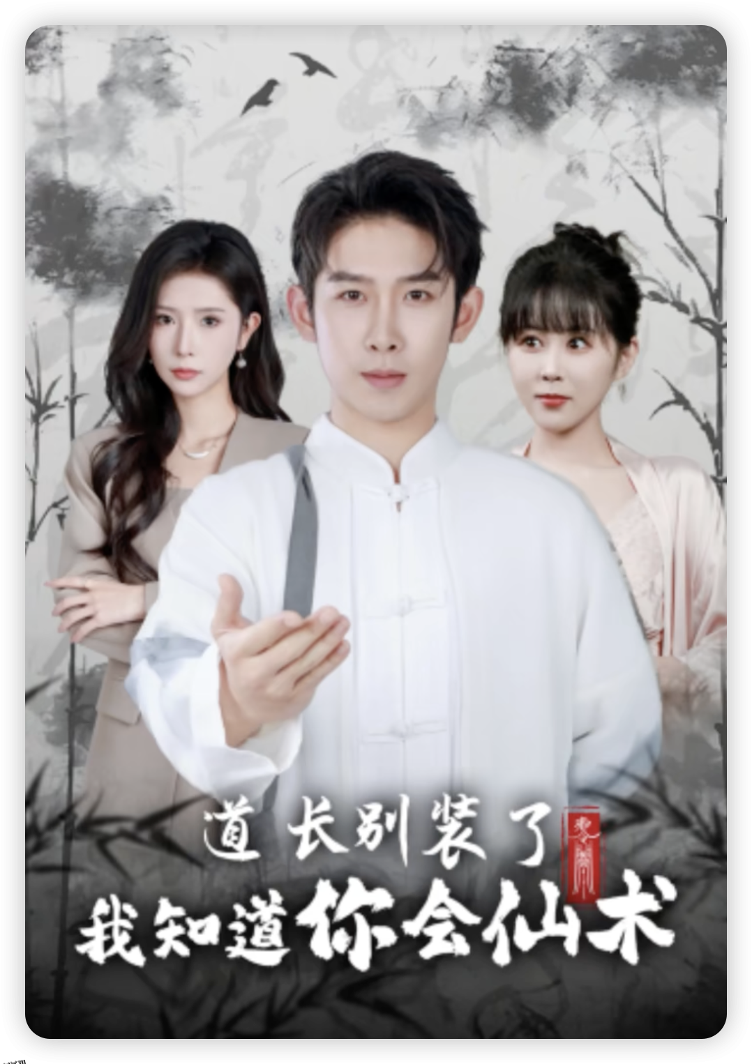 道长别装了我知道你会仙术 海报