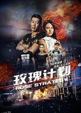 玫瑰计划 海报