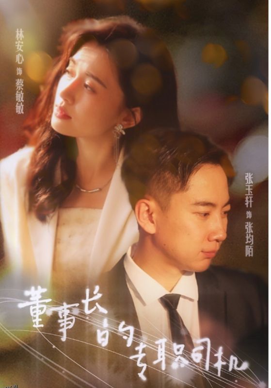 董事长的专职司机 海报