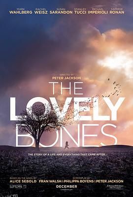 可爱的骨头 The Lovely Bones[电影解说] 海报