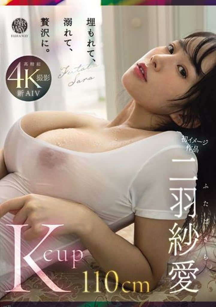 二羽纱爱-被埋没，沉溺，奢华地享受 海报