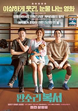 盘索里拳击手 海报