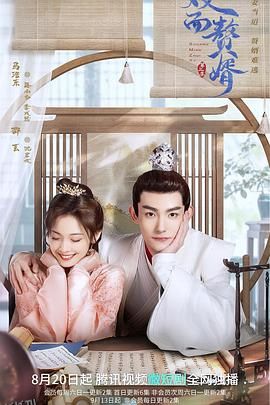 双面赘婿第二季 海报