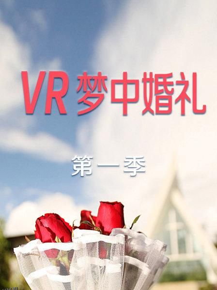 VR梦中婚礼第一季 海报