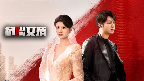 危险女婿 高清海报