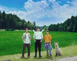 天狗的厨房 海报