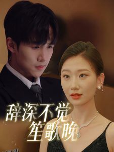 辞深不觉笙歌晚 海报