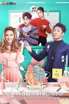 真心大冒险悄悄话版 海报