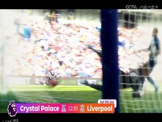 英超 布莱顿vs布伦特福德 (苗锟) 20231206 海报